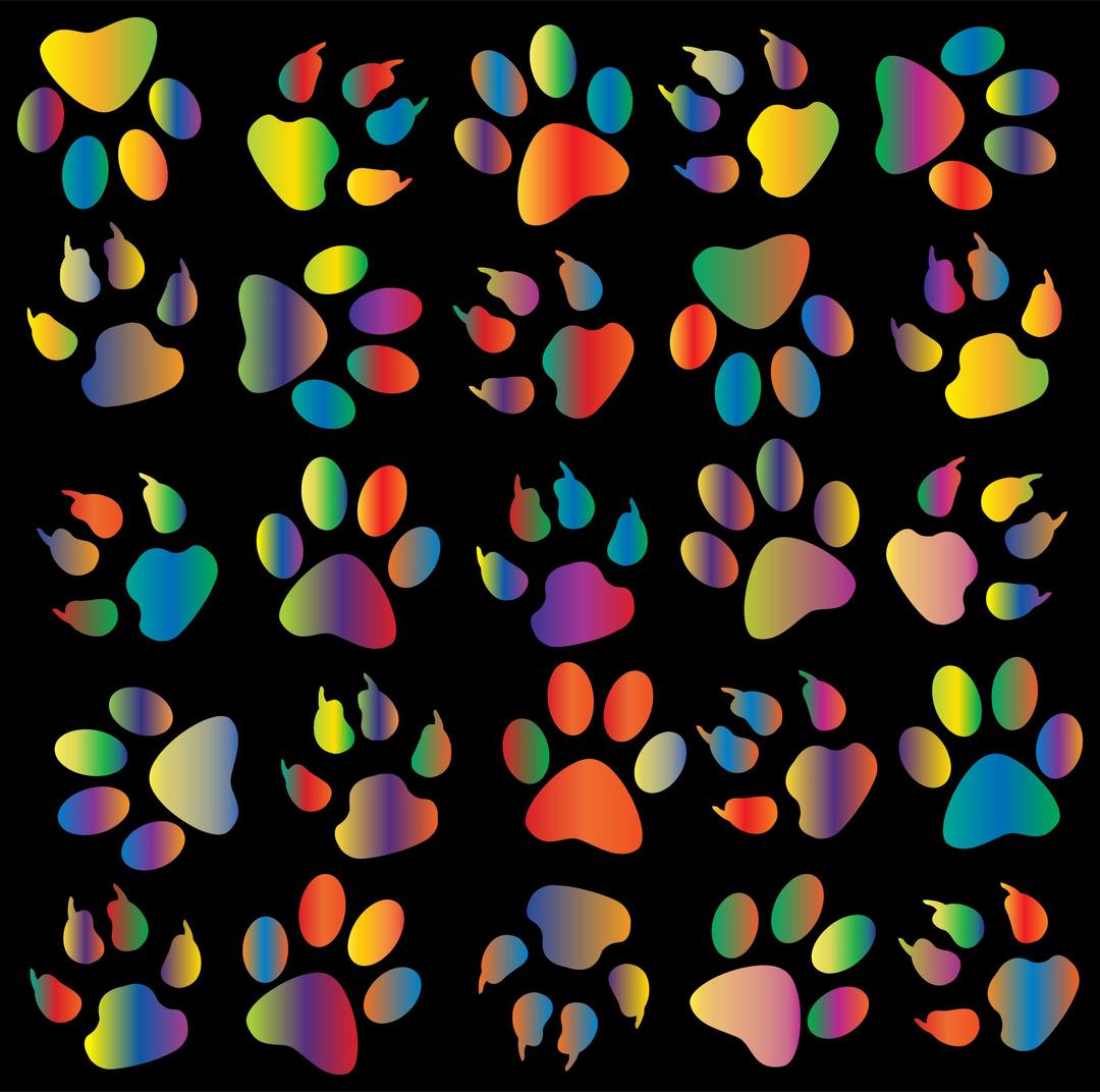 Colorful Paw Prints Pattern Background Reinvigorated 4 png transparent