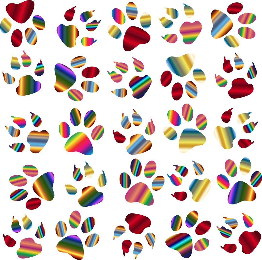Colorful Paw Prints Pattern Background Reinvigorated 5 No Black background png transparent