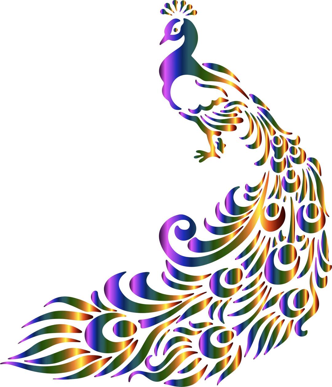 Colorful Peacock png transparent