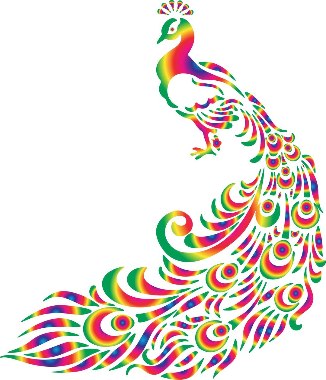 Colorful Peacock 2 png transparent