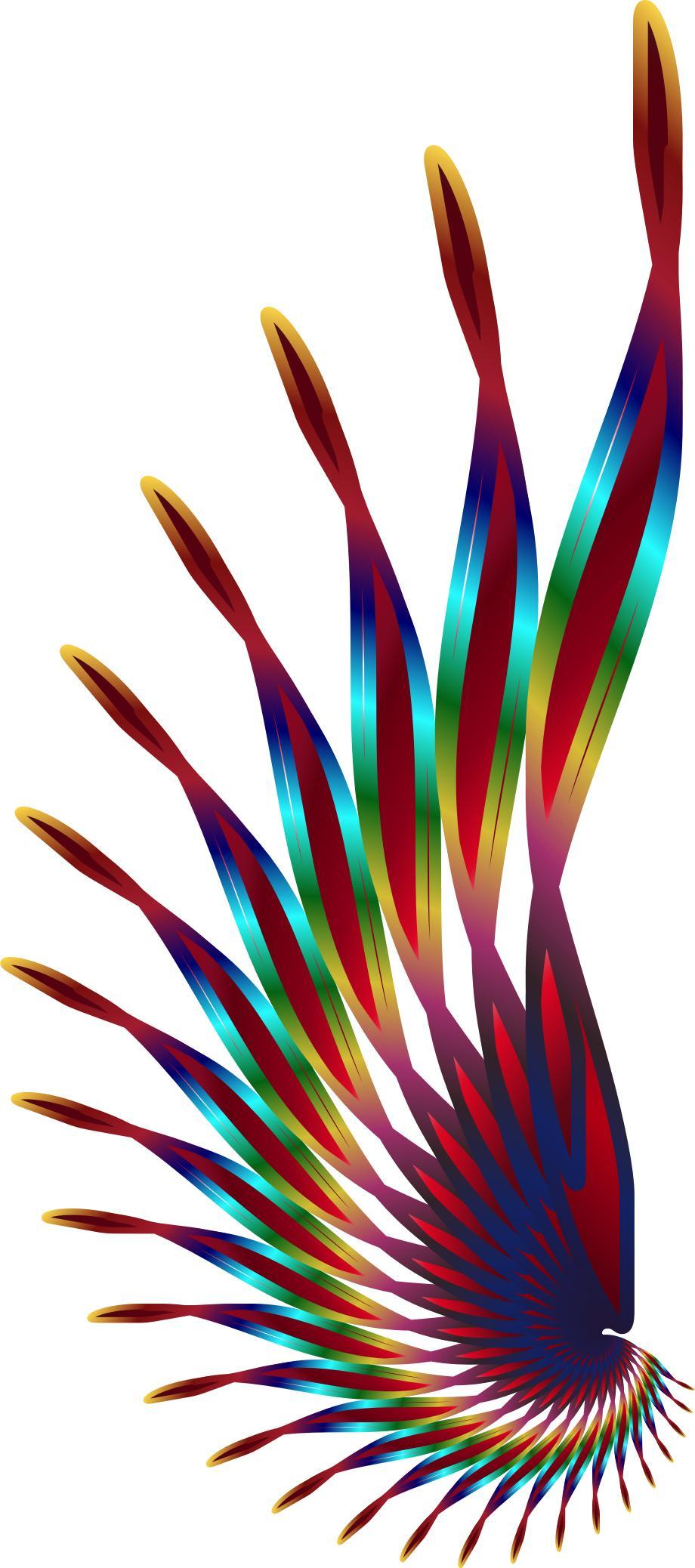 Colorful Something Or Other png transparent