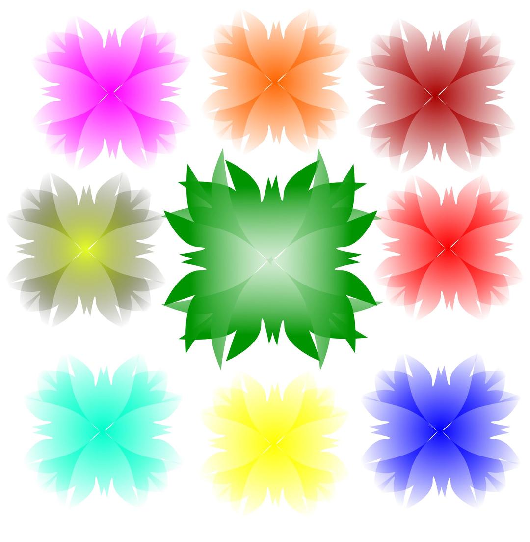 ColorFull Flower png transparent