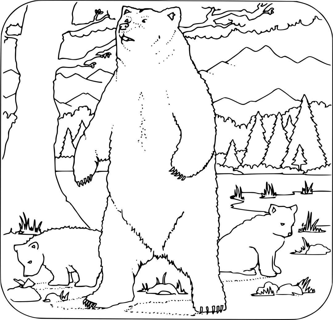 Coloring Book - Grizzly png transparent