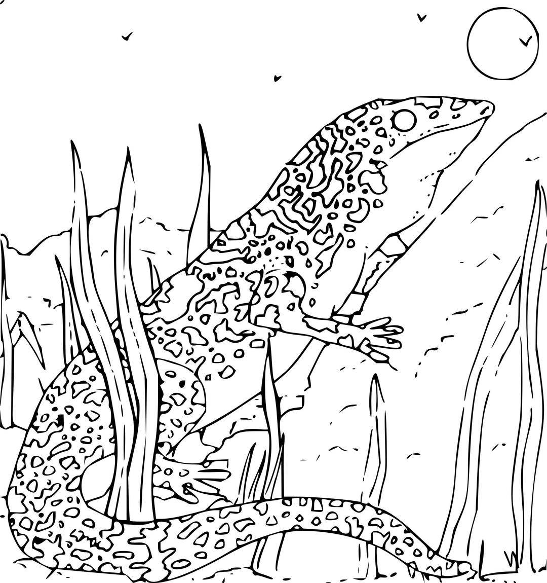 Coloring Book Monitor Gecko png transparent