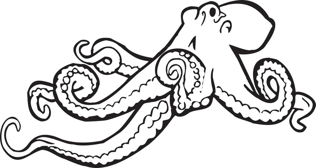 Coloring Book Octopus png transparent