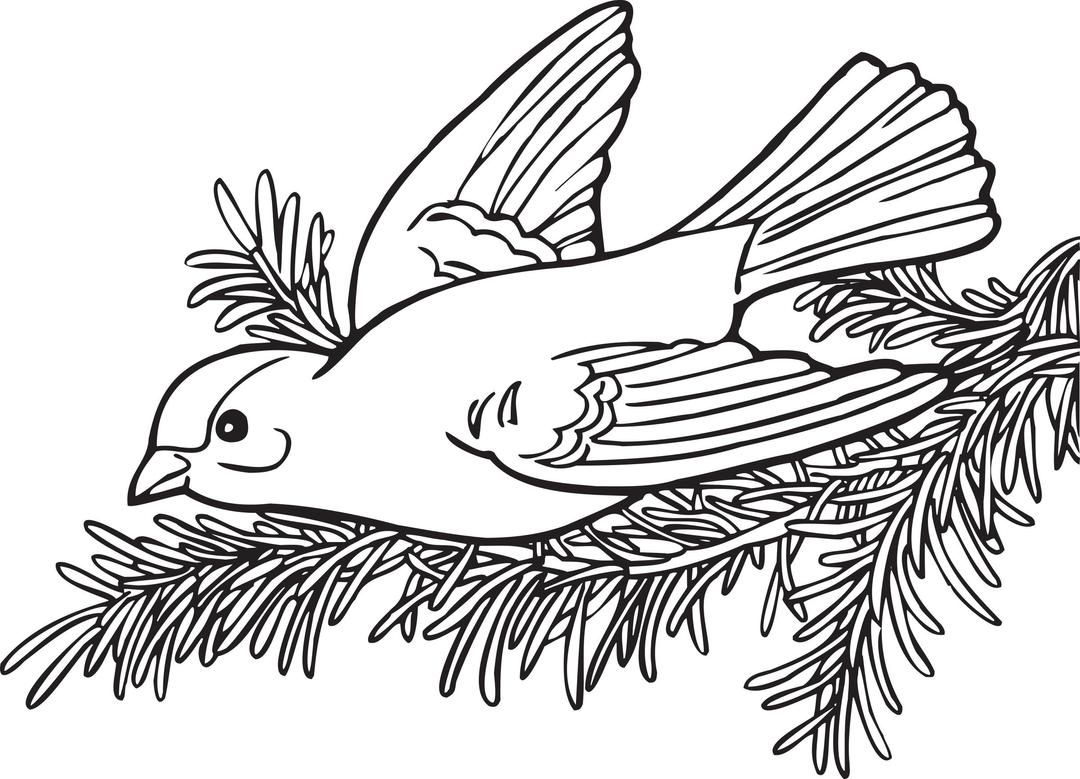 Coloring Book Willow Goldfinch png transparent