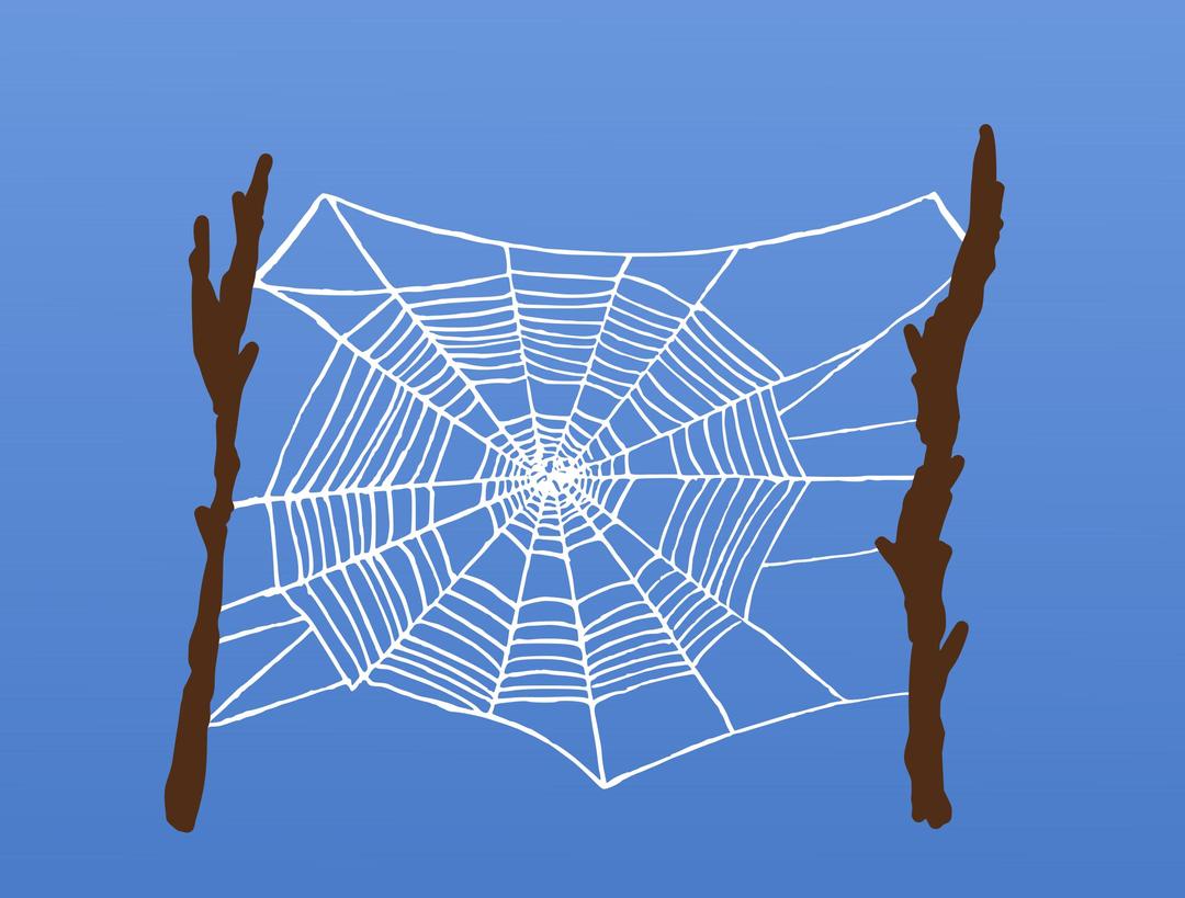 Colour Spider Web png transparent