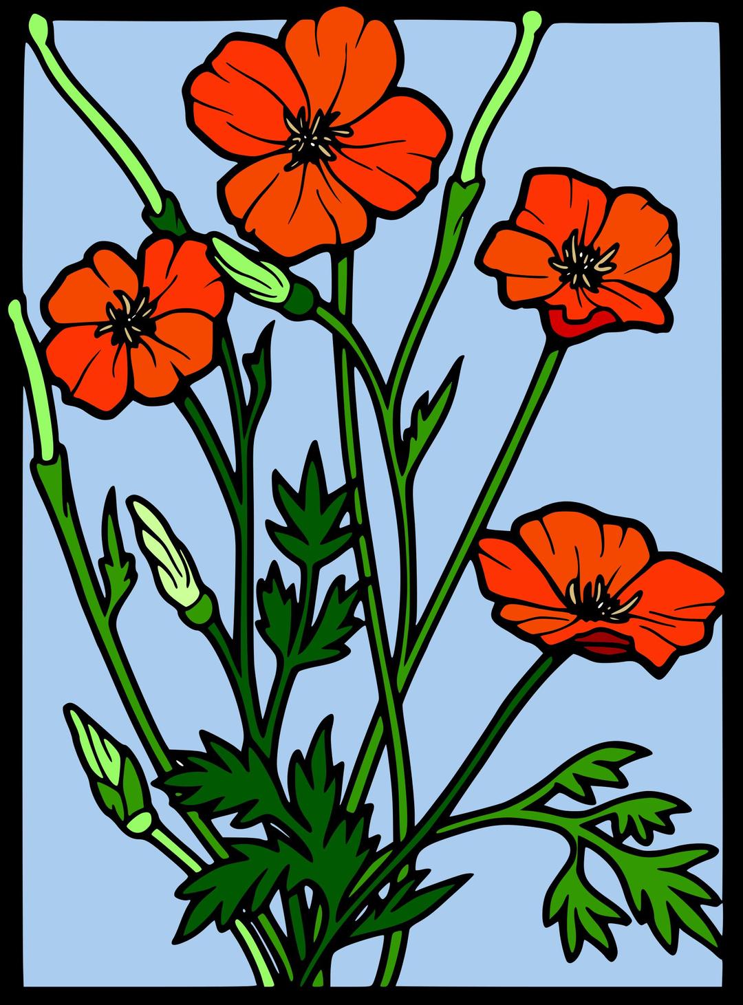 Coloured Poppy stained glass  png transparent