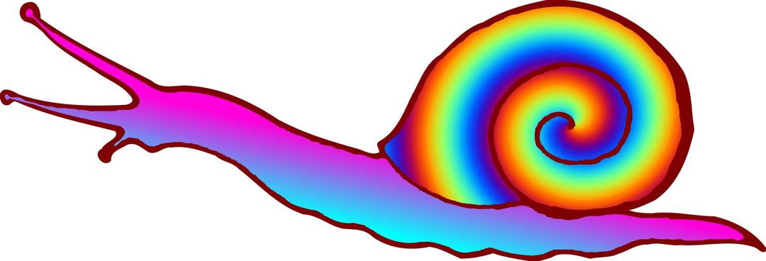 Colourful snail png transparent
