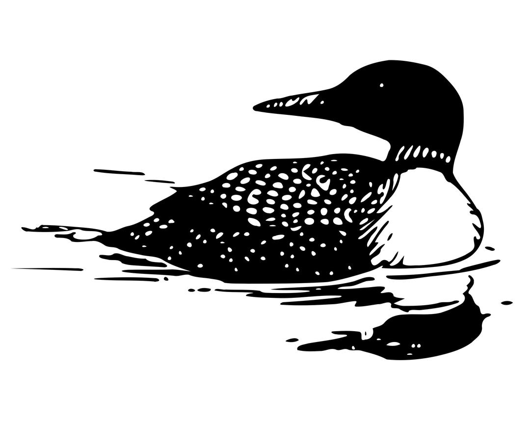 Common Loon png transparent