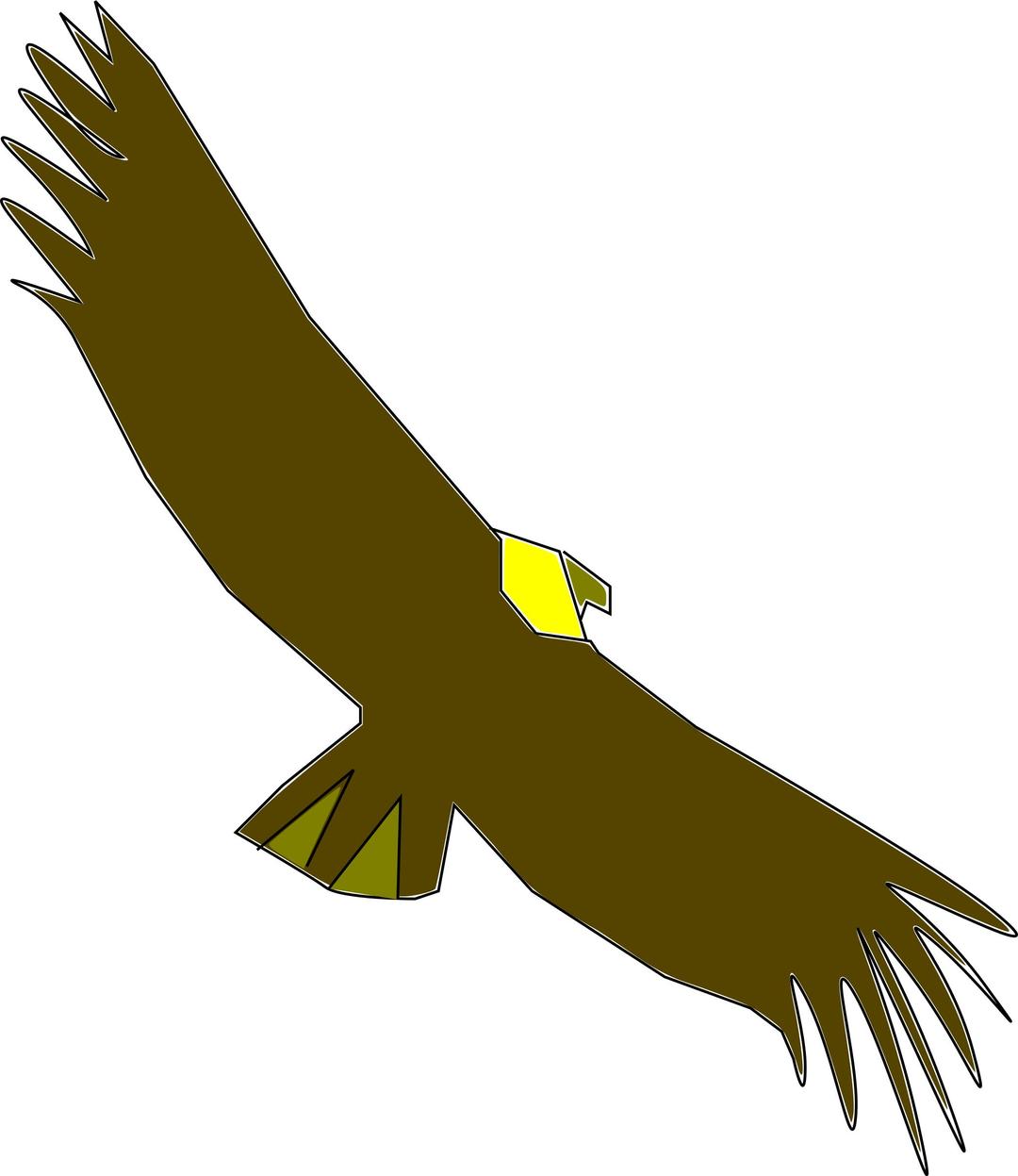 Condor Colombiano png transparent