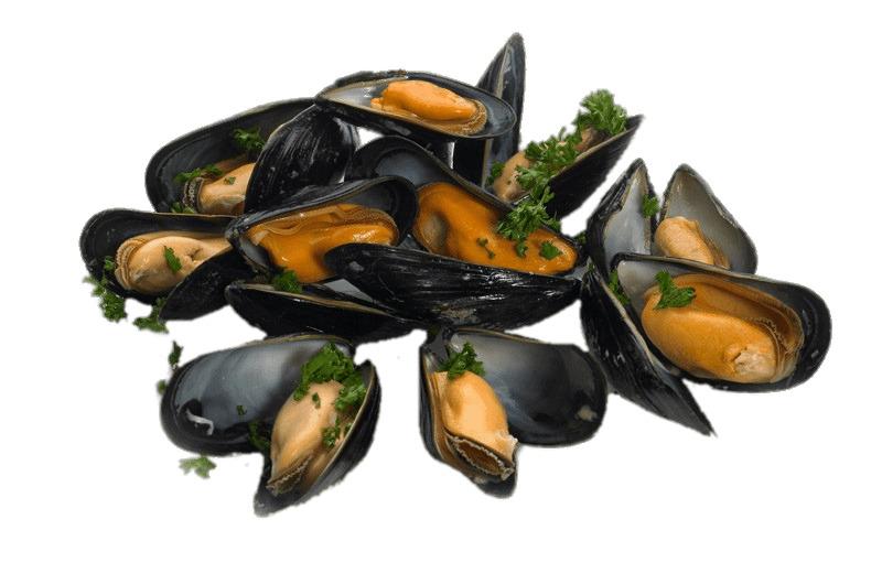 Cooked Mussels With Parsley png transparent