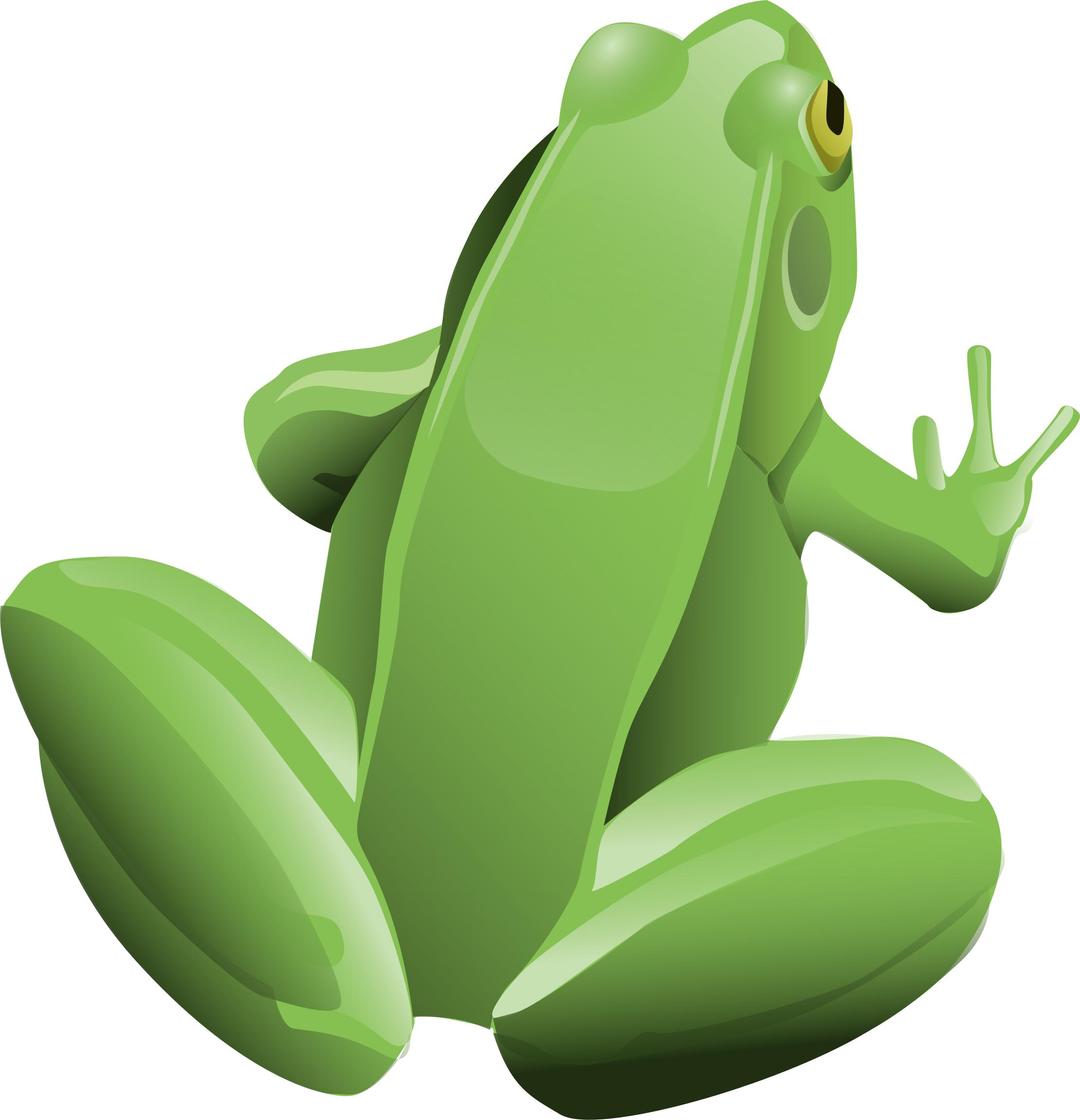 Cool Frog png transparent