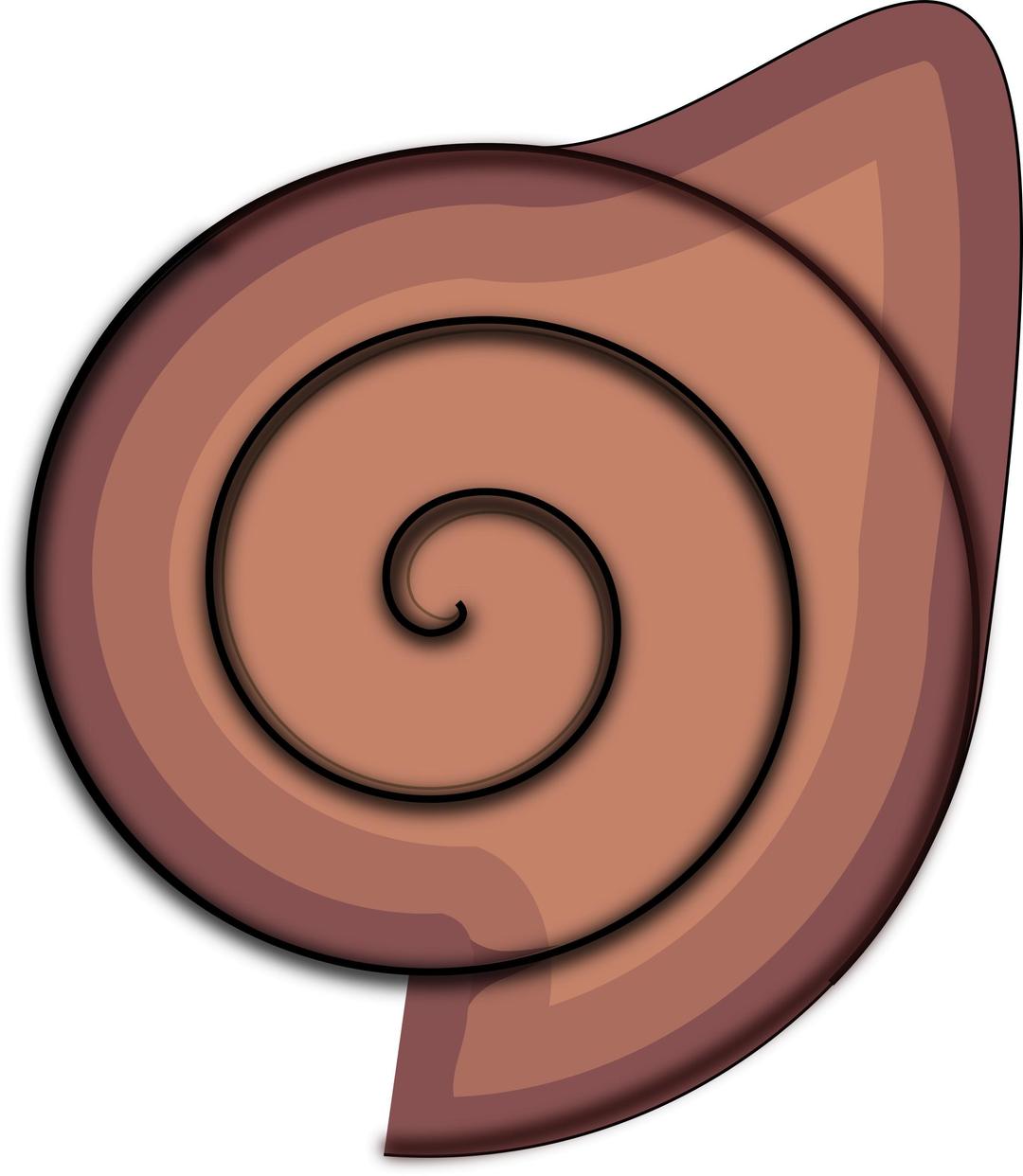 Coquillage png transparent