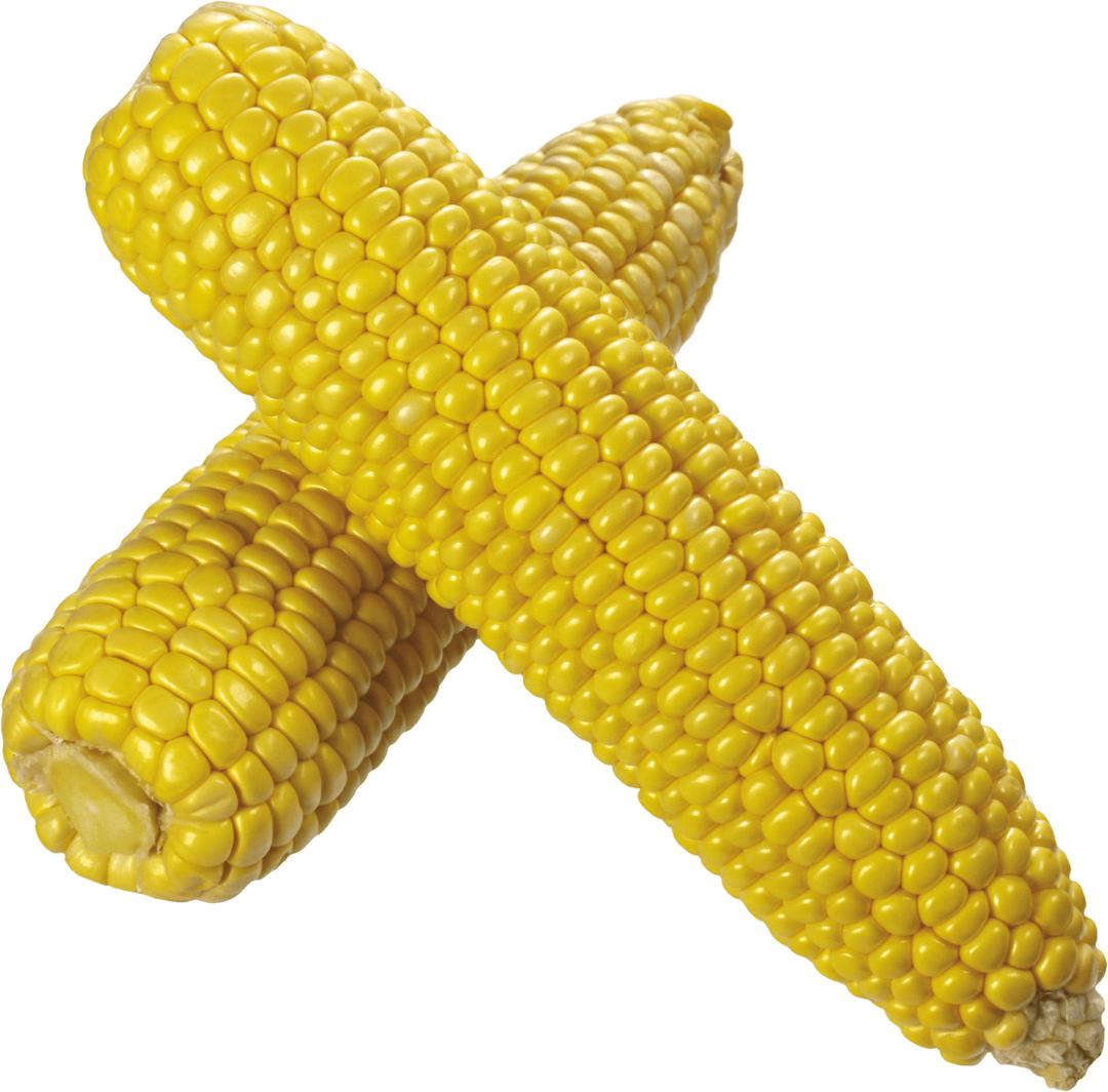 Corn Duo png transparent