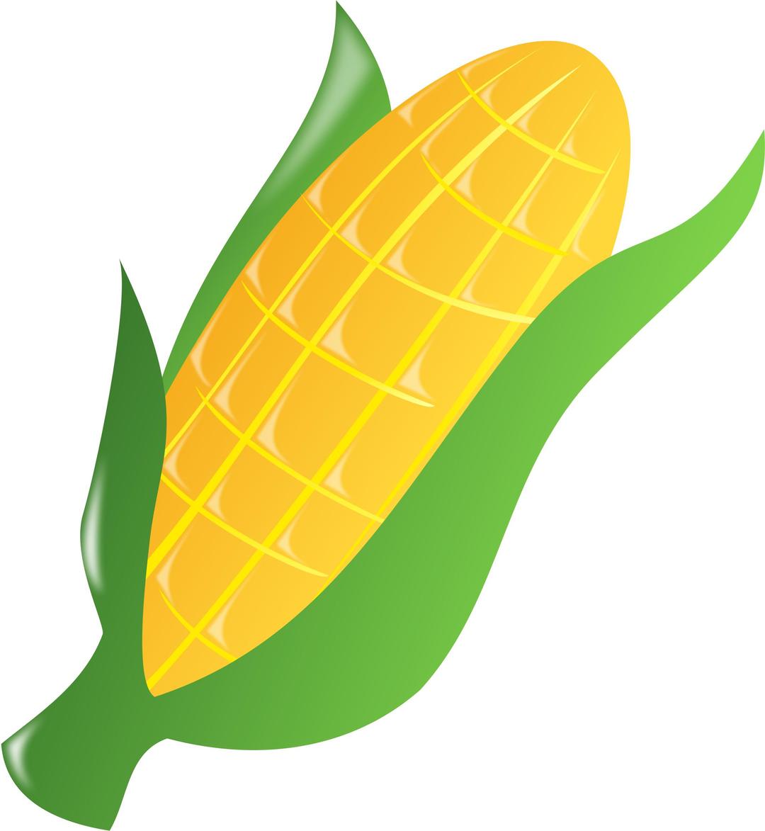 Corn ns png transparent