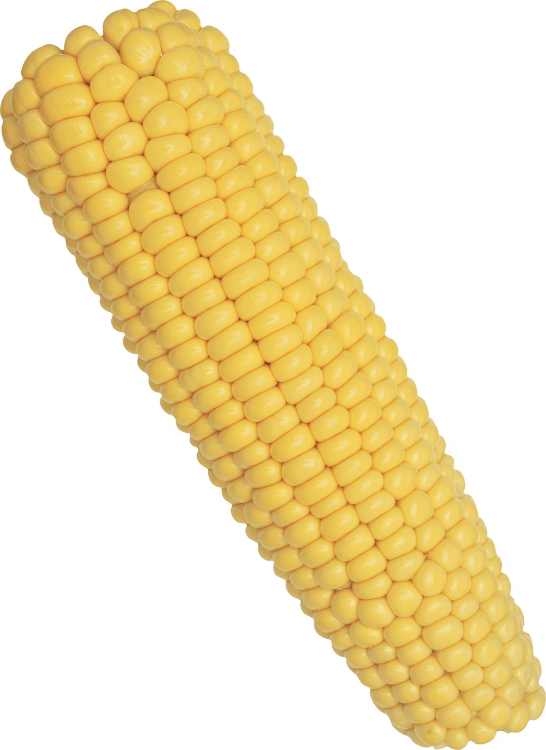 Corn Solo png transparent