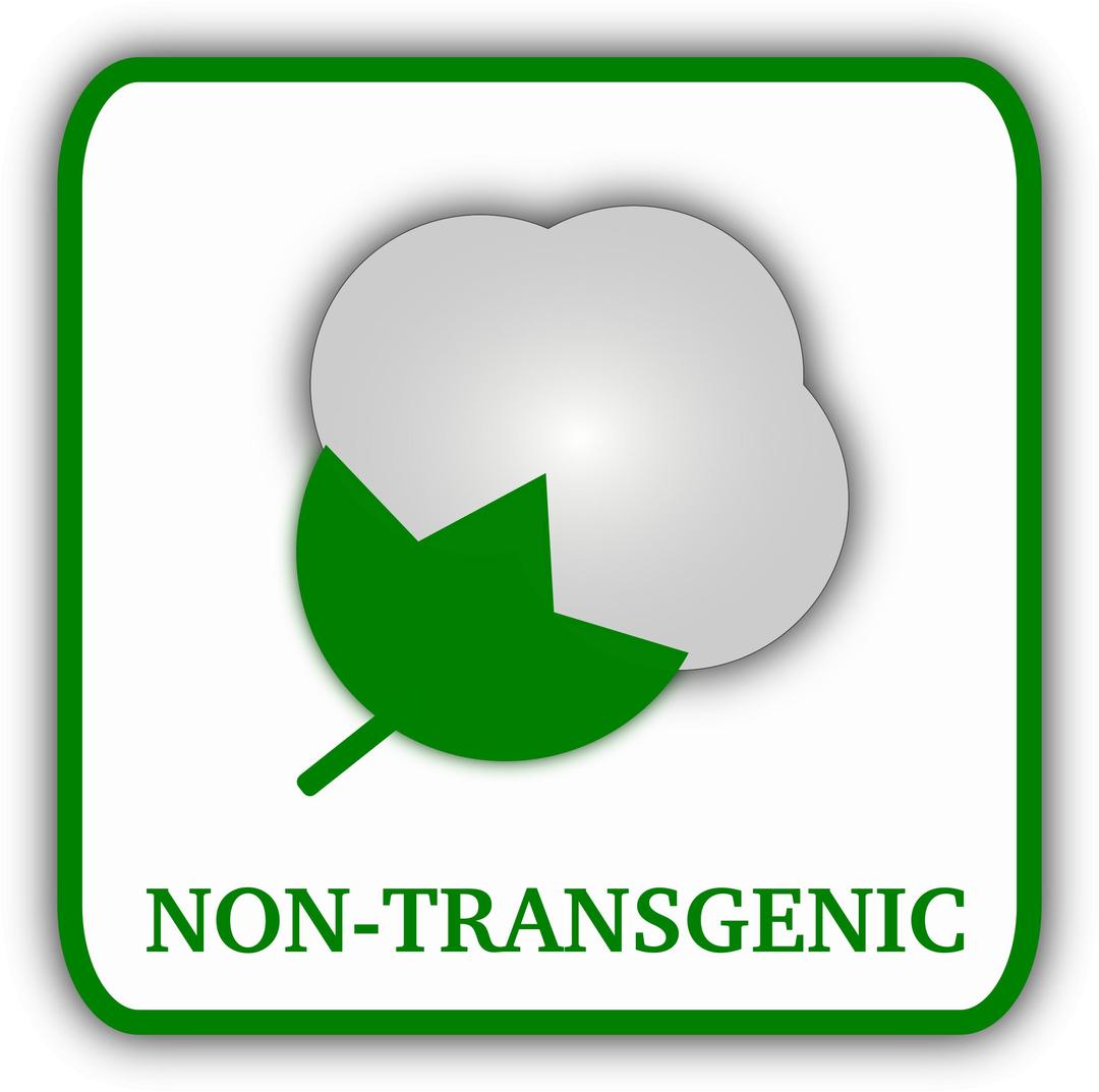 Cotton (non-transgenic) png transparent