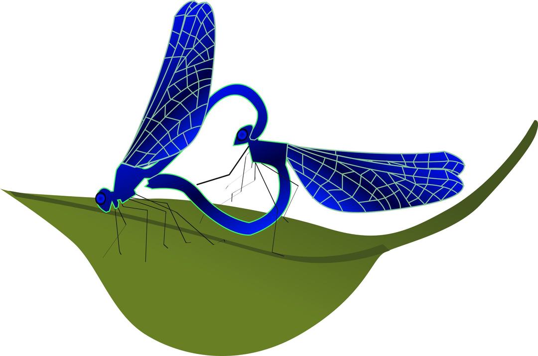 coupling dragonfly png transparent