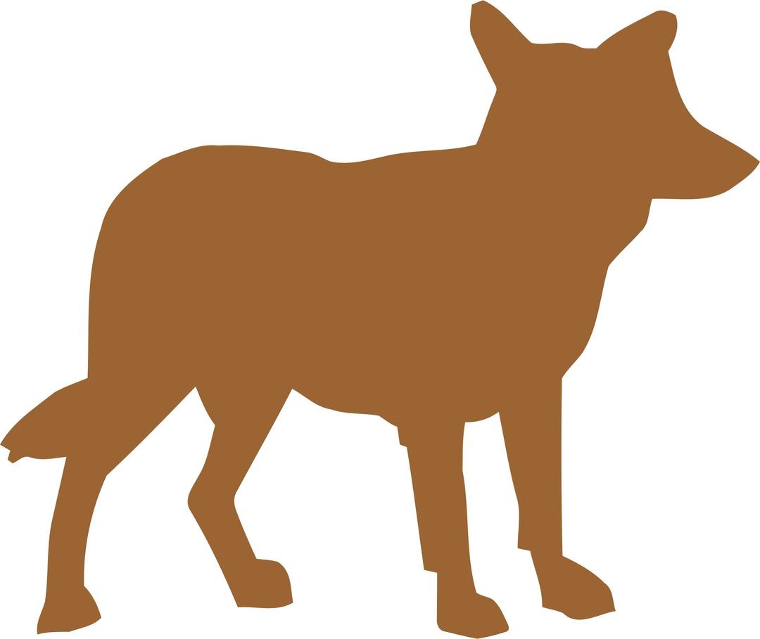 Coyote vectorized png transparent