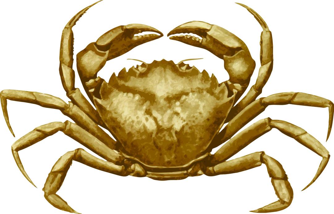 Crab 4 png transparent