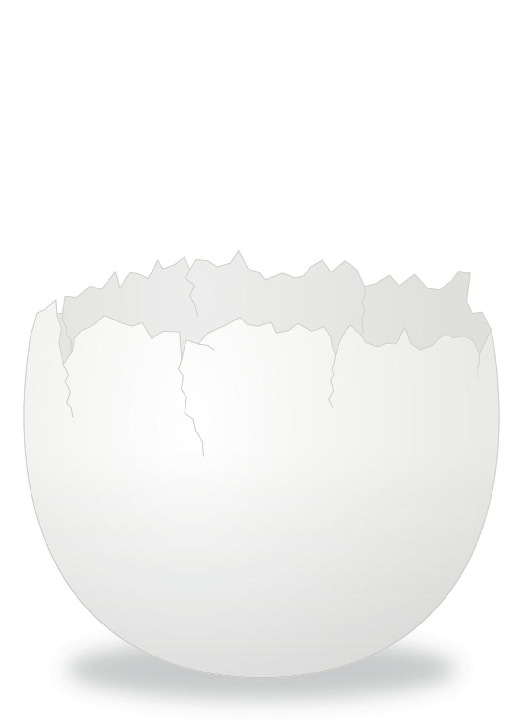 Cracked Egg png transparent