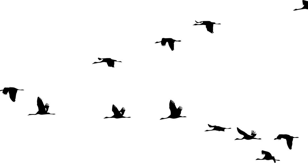 Cranes Flying In Formation Silhouette png transparent