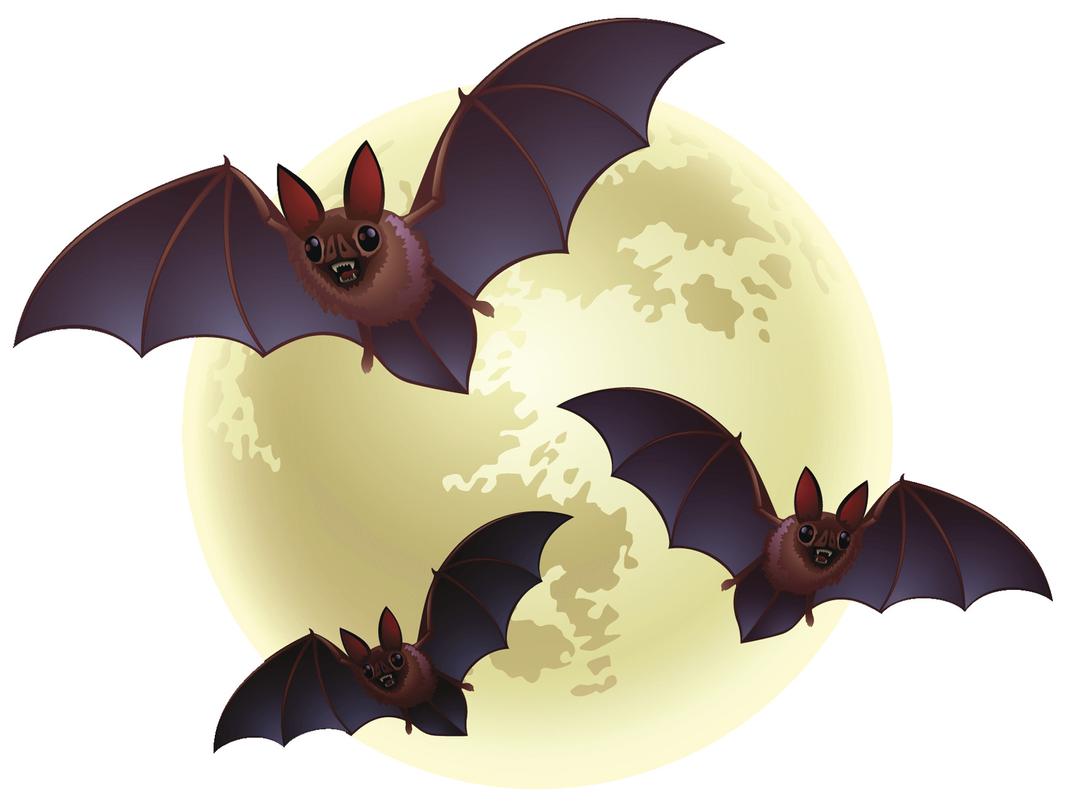 Creepy Bats Halloween png transparent