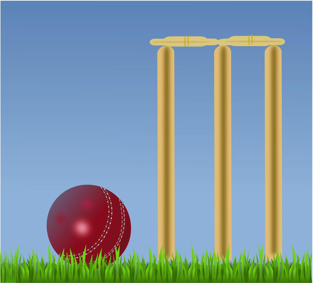 cricket illustration png transparent