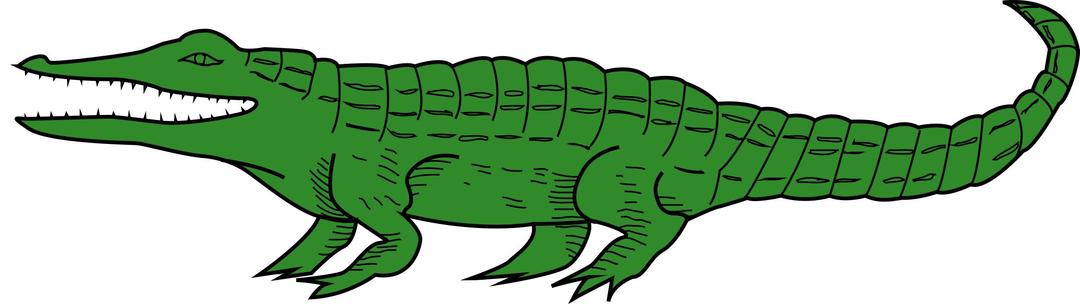 Crocodile 4 png transparent