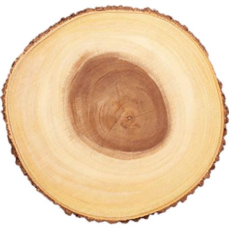 Cross Section Of Tree Trunk png transparent