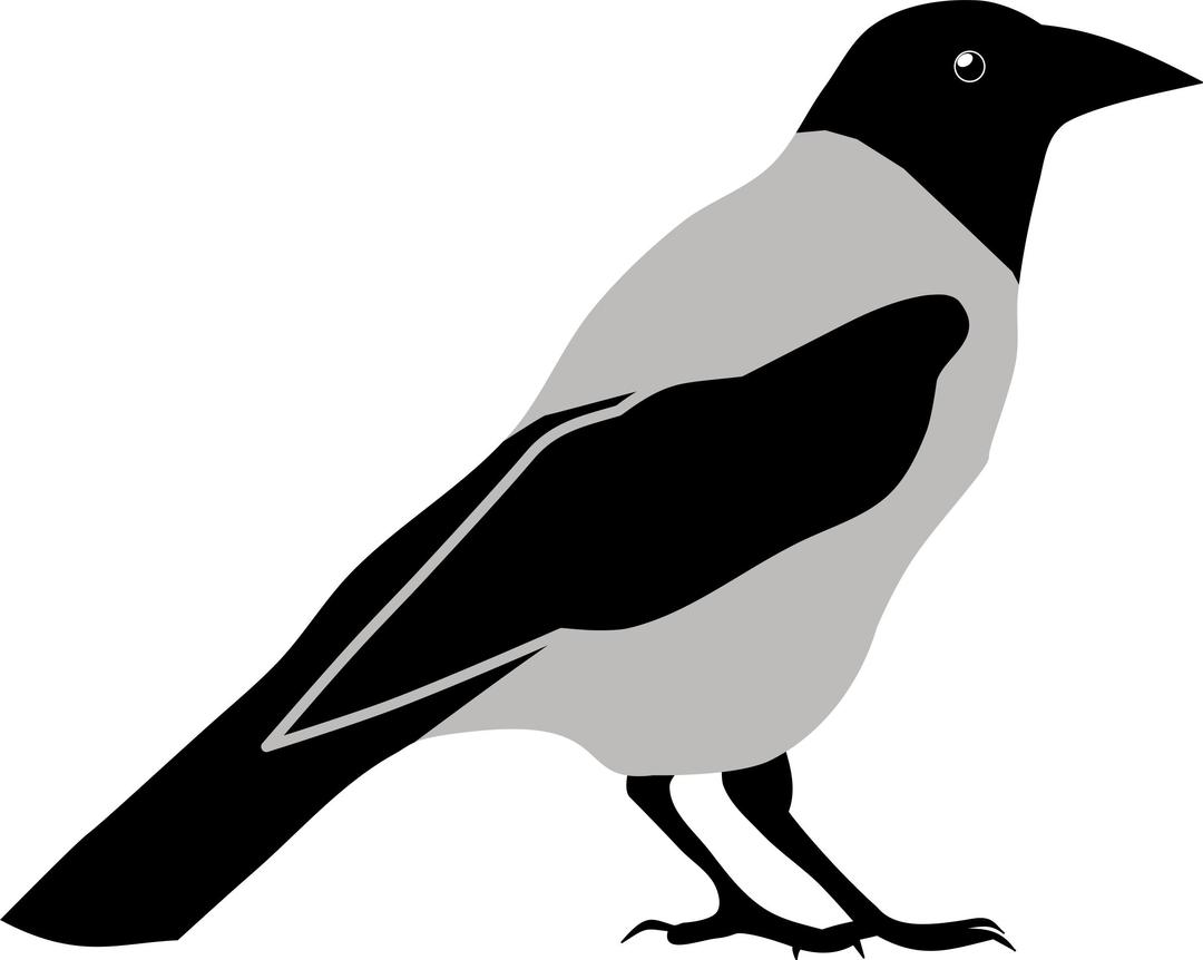 Crow by Rones png transparent