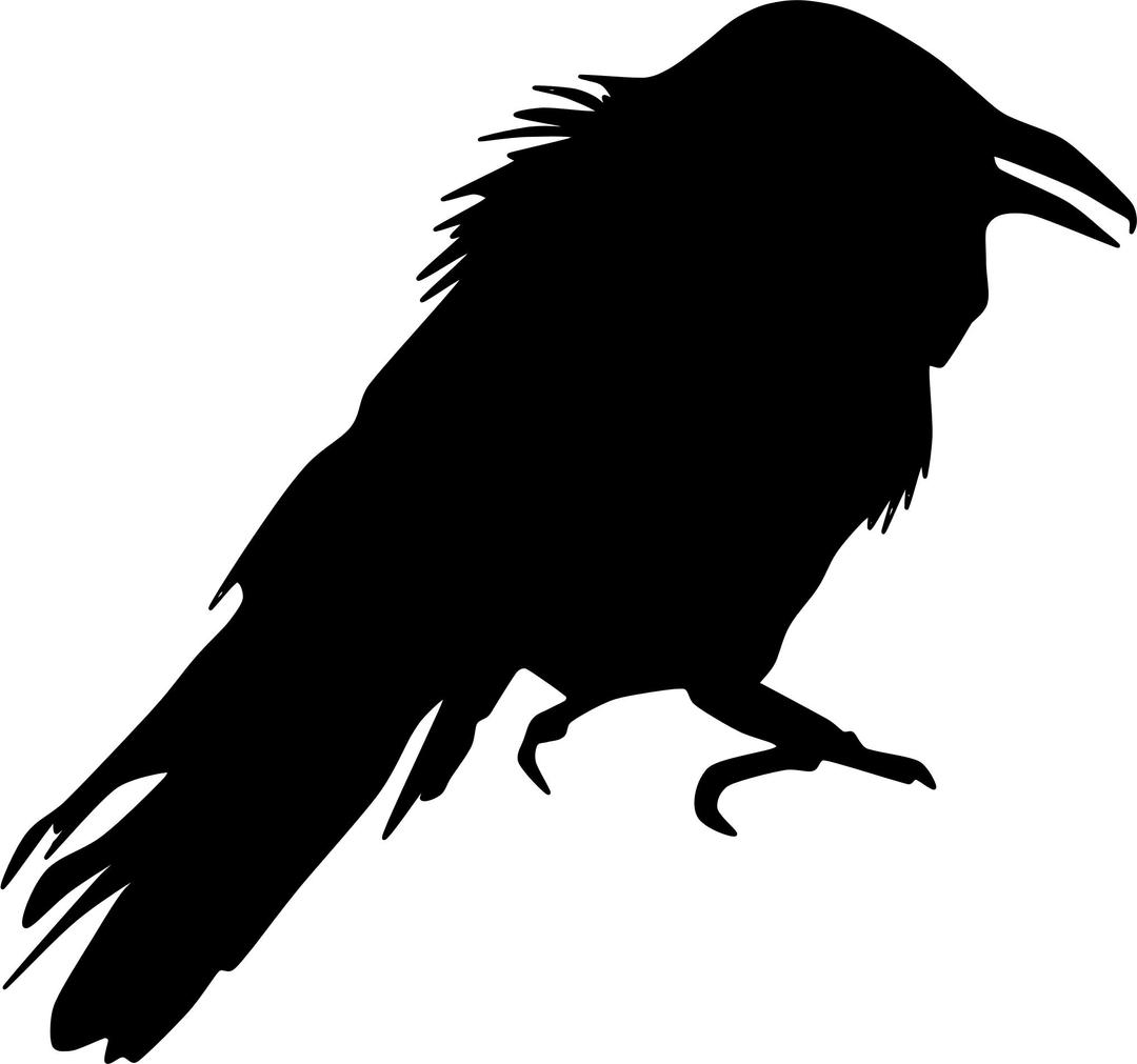 Crow Silhouette No Eye png transparent
