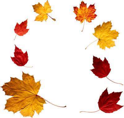 Crown Of Autumn Leaves png transparent