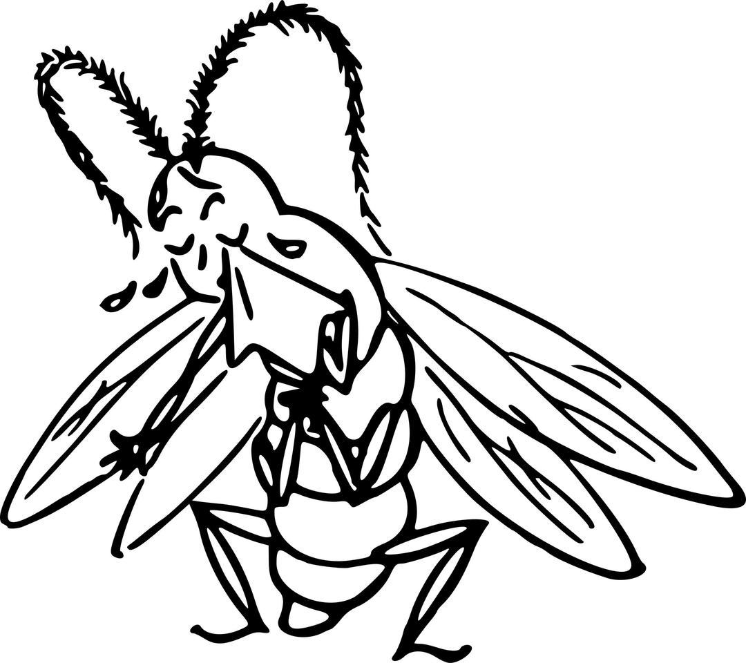 Crying insect png transparent