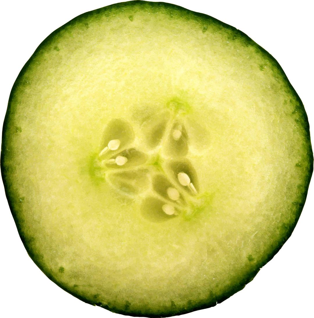 cut cucumber png transparent