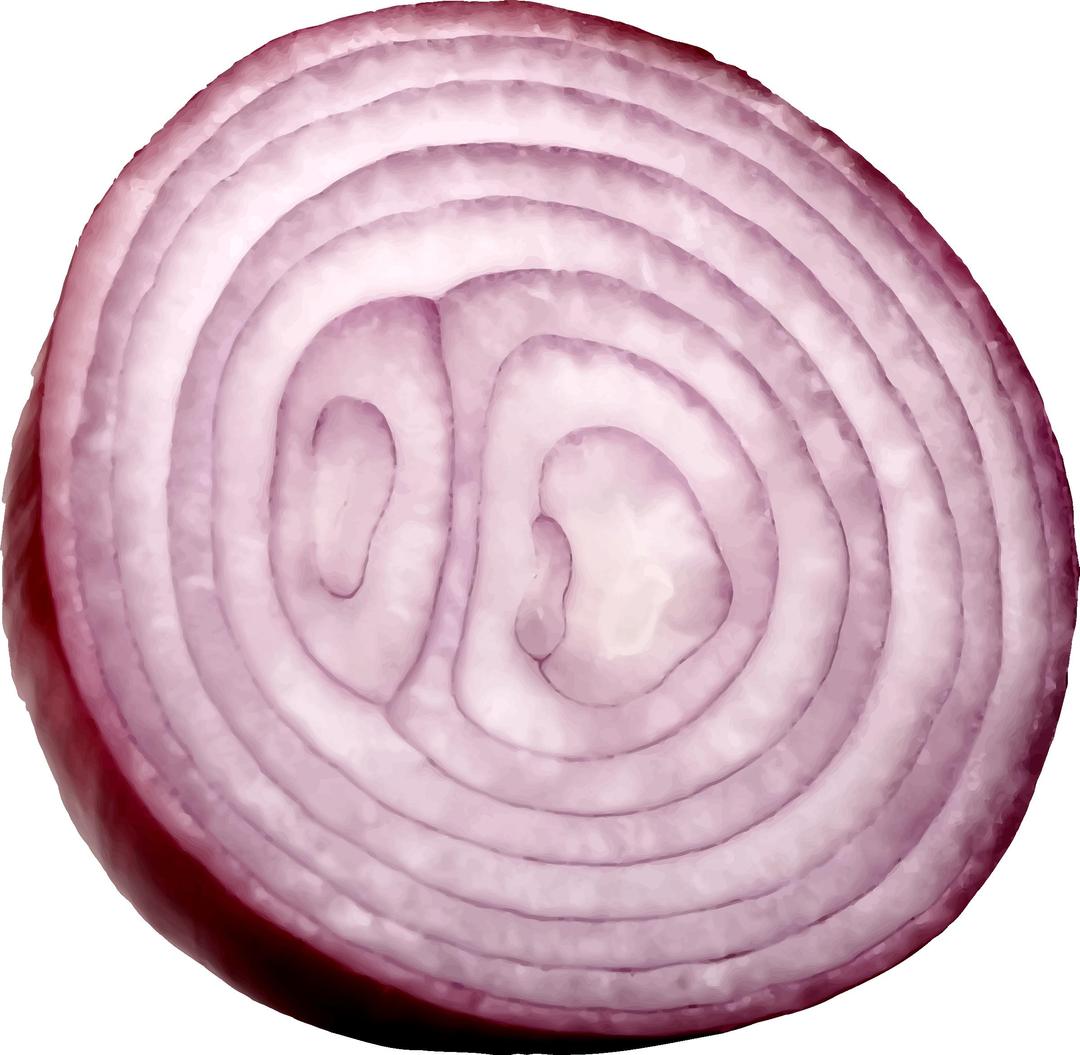 Cut red onion png transparent