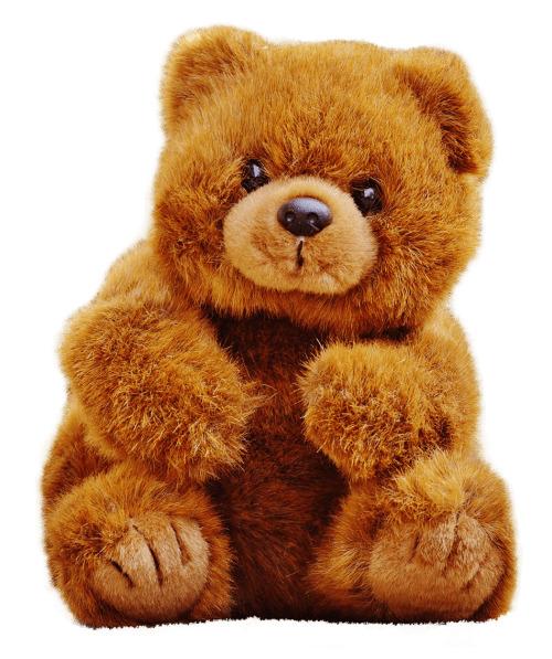 Cute Teddy Bear png transparent