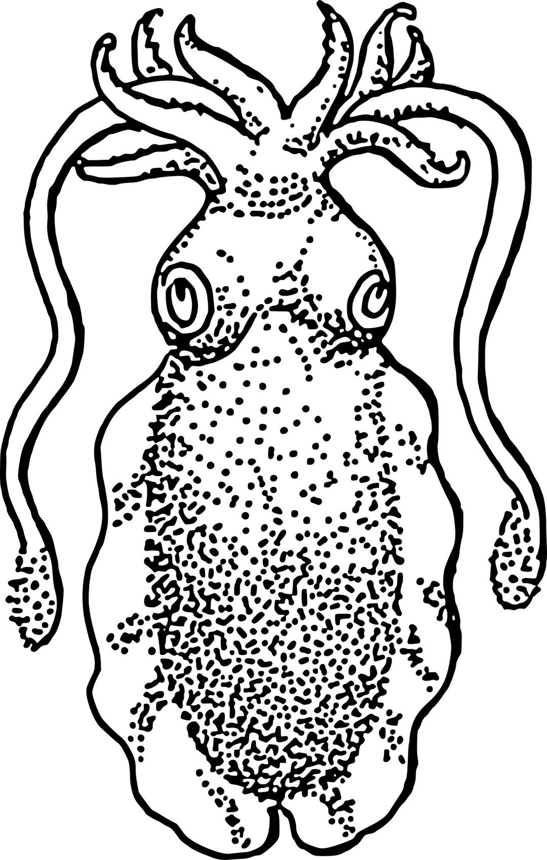cuttlefish png transparent