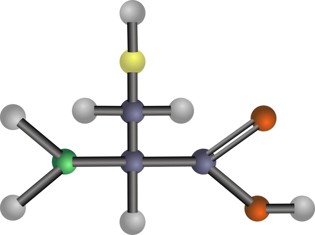Cysteine (amino acid) png transparent