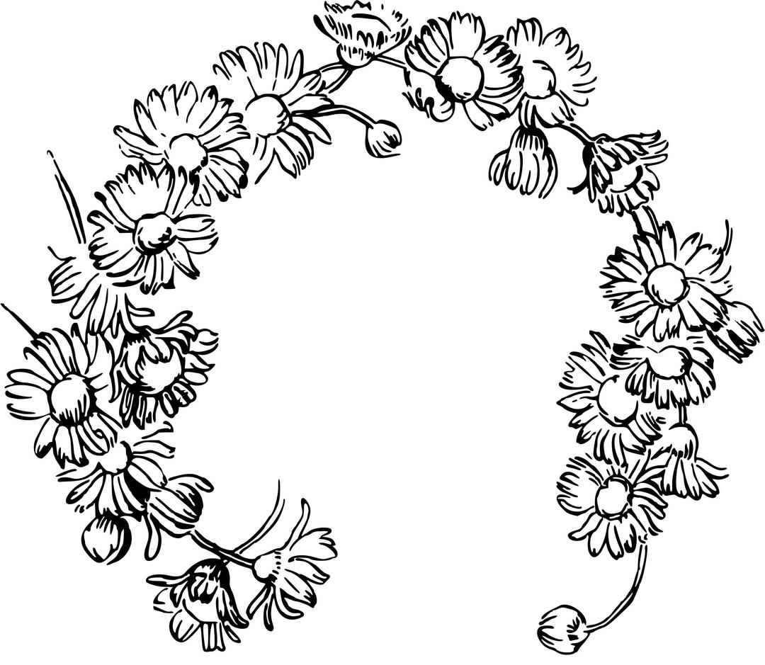 Daisy chain png transparent