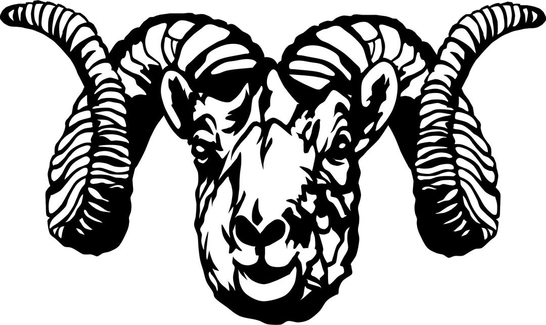 Dall Sheep Ram (stylized) png transparent