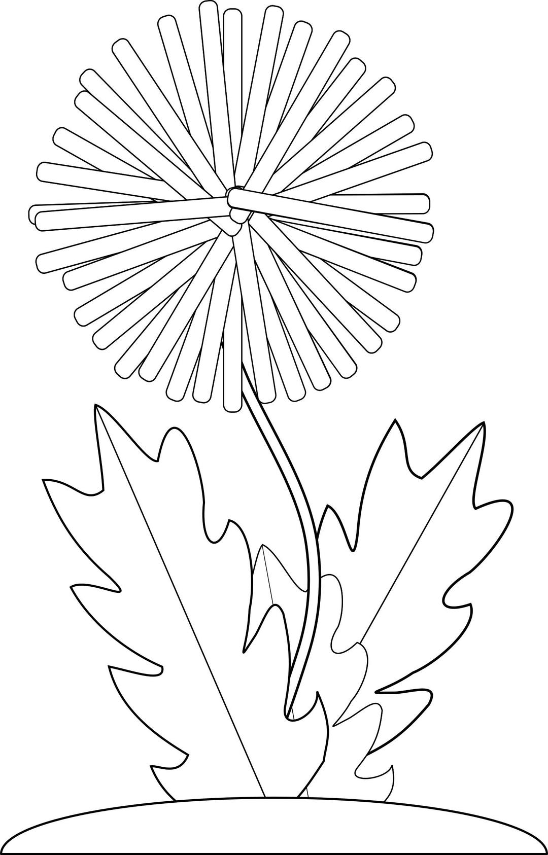 dandelion flower bw png transparent
