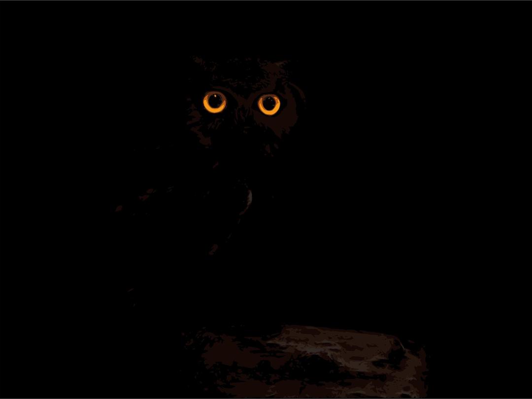 dark owl png transparent