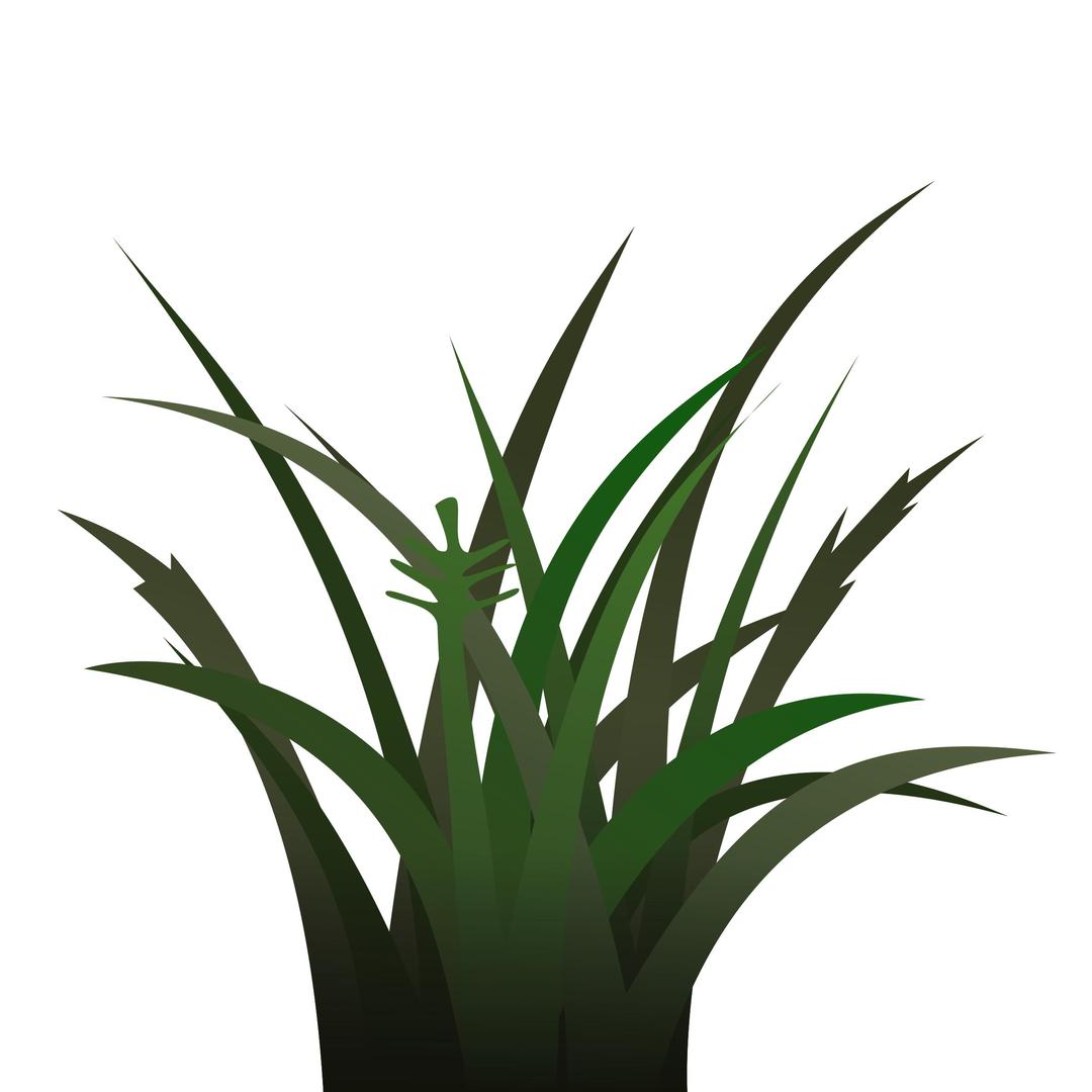 Darker Grass Shaded png transparent