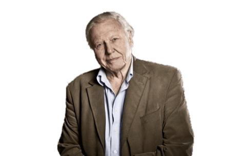 David Attenborough 60 Years In the Wild png transparent