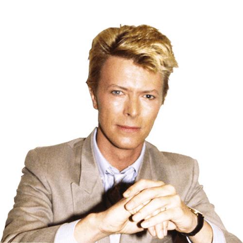 David Bowie Portrait png transparent