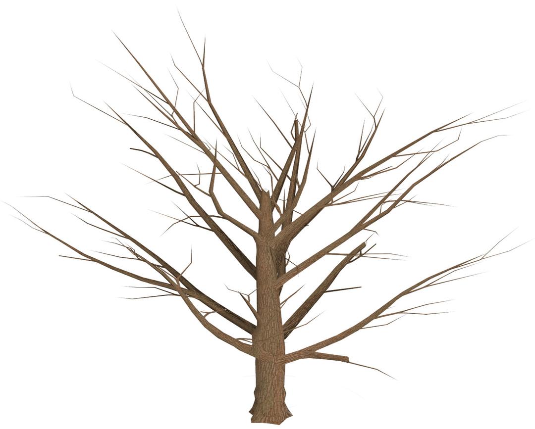 Dead Tree Empty Branches png transparent