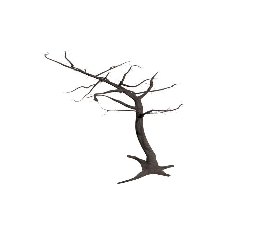 Dead Tree In Wind png transparent