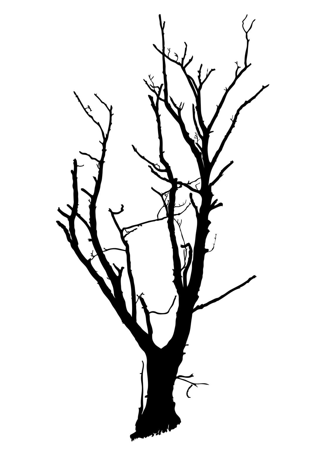 Dead Tree Optimized png transparent